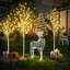 Ensemble de 3 arbres et branches illuminés