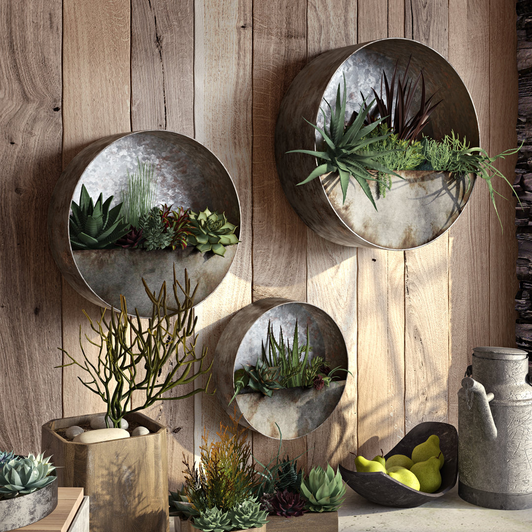 Aria Round Metal Succulent Farmhouse Wall Planter Set Williston Forge