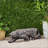 LEOPARD LIGHTWEIGHT CONCRETE BENCH