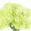 Hydrangea Bouquet In Vase-336806023