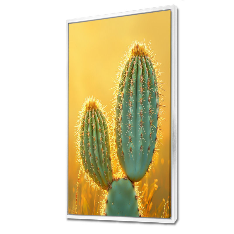Cactus martellish dans la lumière du matin I - Cactus, reproduction sur toile, H 60 po x l 28 po, Blanc