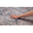 Labarbera Machine Washable Charcoal/Red Non-Slip Backing Area Rug-1377154032