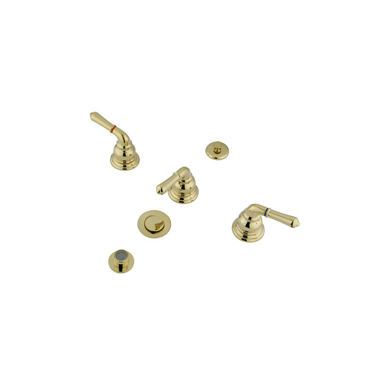 Widespread Vertical Bidet Faucet, Polished Brass