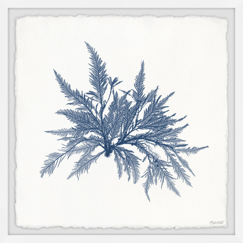 Navy Seaweed V by Marmont Hill - Single Picture Frame Painting, 51cm H x 51cm W