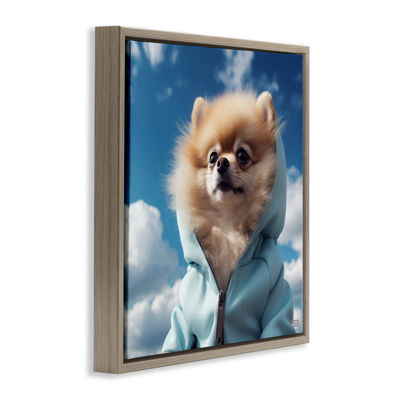 «Pomeranian Dog & Clouds», encadrée dorée sur toile flottante par Roozbeh Bahramali, Cadre flottant orme Montalcino