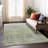 Machine Washable Indoor/Outdoor Xhevrie Aloe Rug-713793832