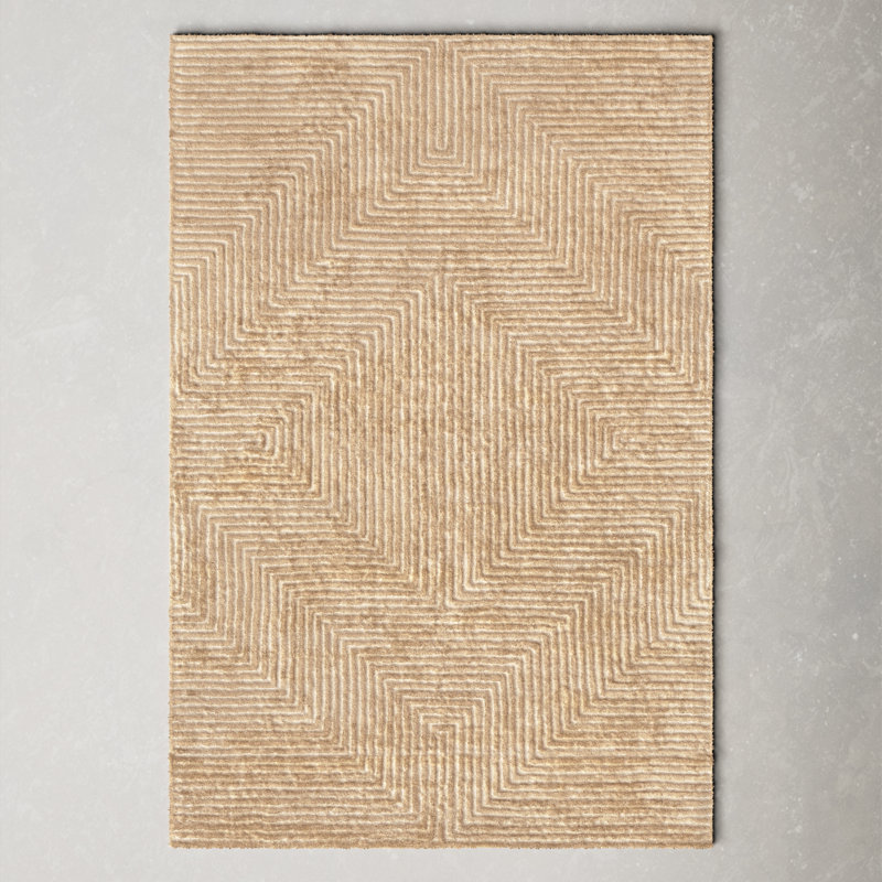 Tapis brun clair / beige touffeté à la main Plympt, Rectangle de 9 pi x 13 pi