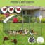 Chicken Coop-526874733