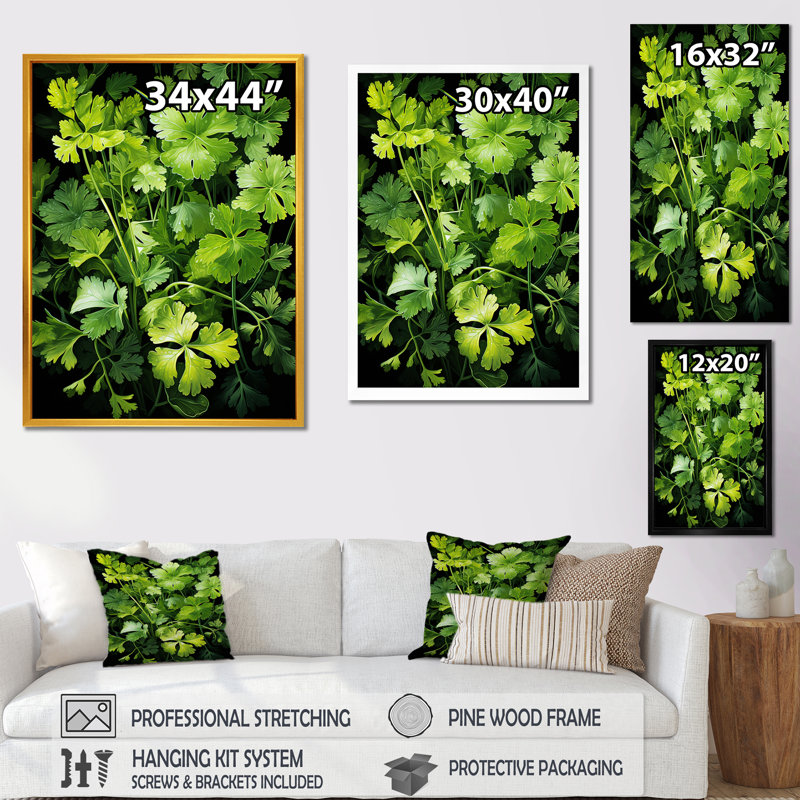 Herbes, coriandre, éclaboussure 4 - Art floral, H 32 po x l 24 po x P 1 po, Cadre flottant brun