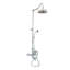 Système de douche thermostatique 48 po Exposed-132934594