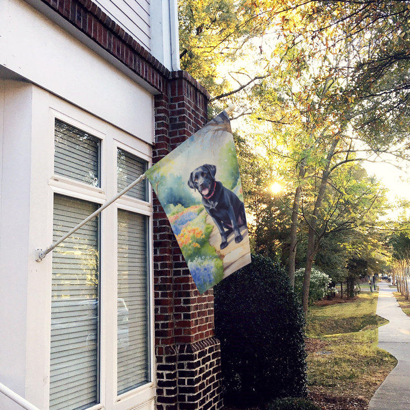 Drapeau de maison en polyester à double face H 40 po x l 28 po Tannar