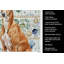 Serviette de cuisine Red Greyhound-1209194347