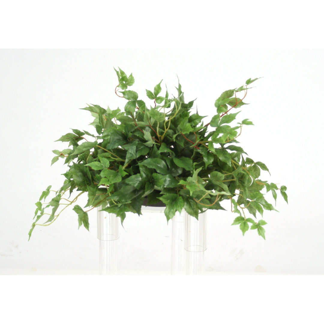 11'' Faux Ivy Plant in Earthenware Planter (Set of 2) Distinctive Designs