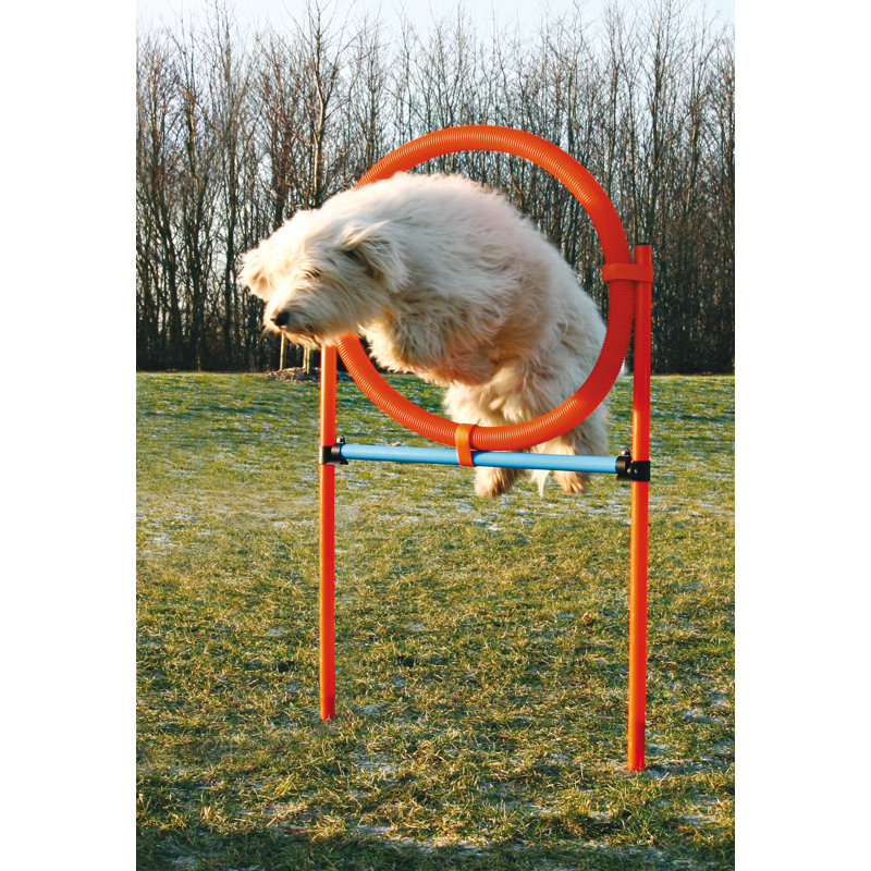 Adjustable Blue and Orange Dog Agility Training Ring