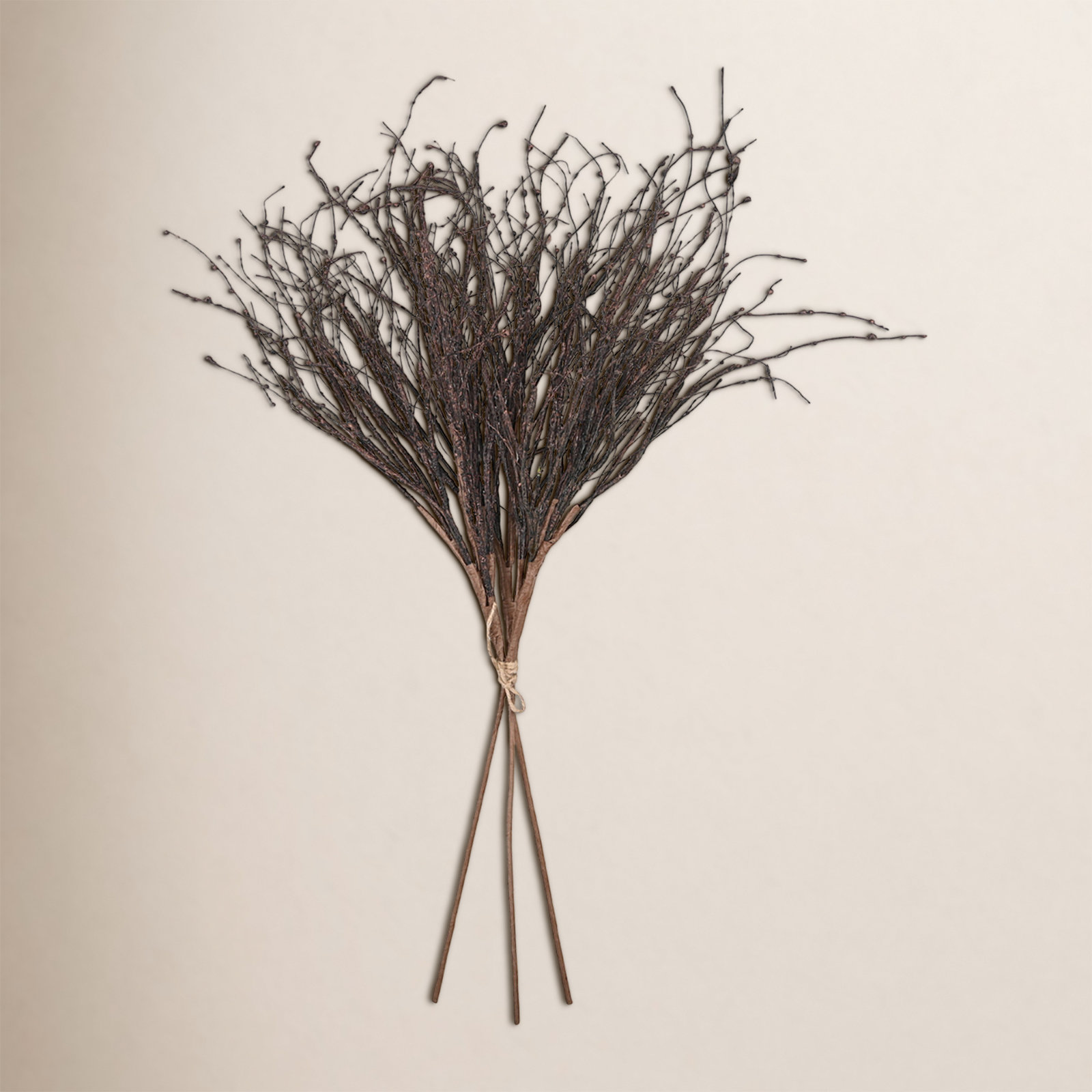 Birch Twig Stems