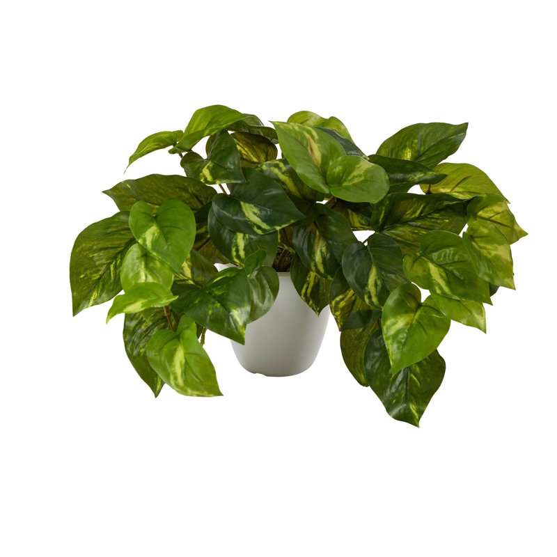 Pothos Artificial Plant in White Planter