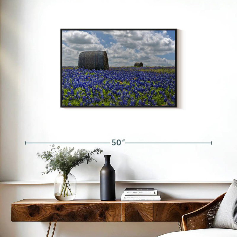 Texas Bluebonnets, Cadre flottant noir, 31 po x 21 po
