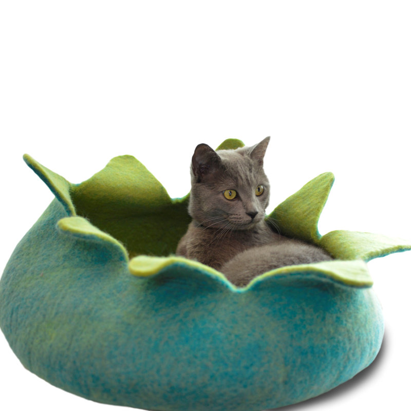 Dôme de créateur d’animaux, Aqua / vert