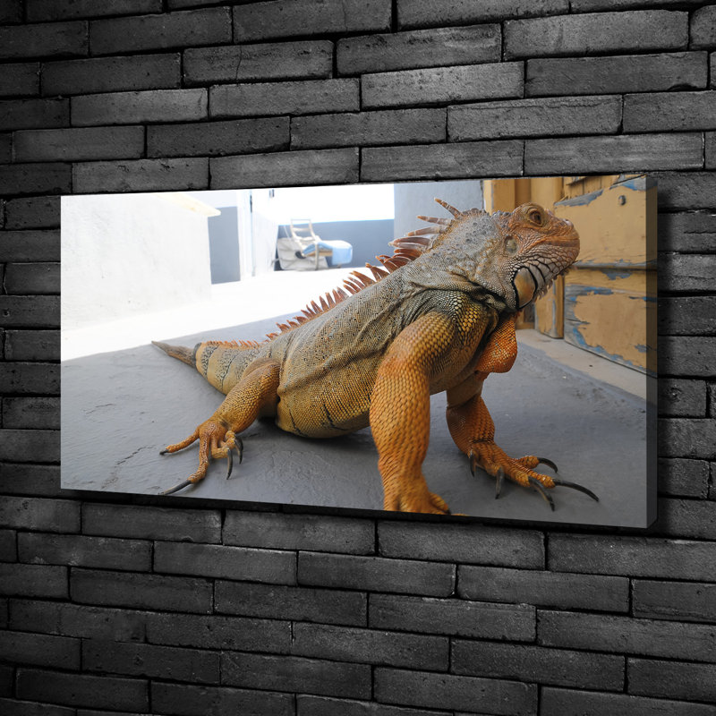 Iguana - No Frame Print on Canvas