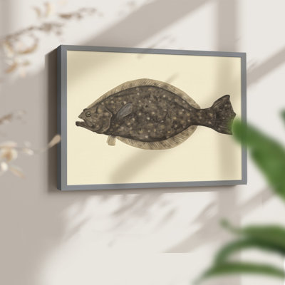 Saltwater Species IV -Framed Print - Restickable