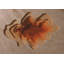 Murale Peel & Stick 3D Illusion - multicouche-1353663280