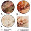 Emotions Of Beige Red Peony Flower I - Floral Peony Metal Wall Décor-1529292616