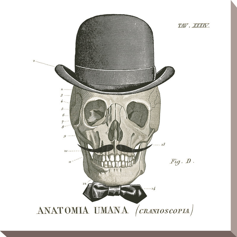 «Dandy Bones IV», reproduction de dessin, H 18 po x l 18 po x P 1 po, Toile tendue