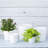 Karstin Pot Planter-1344211566