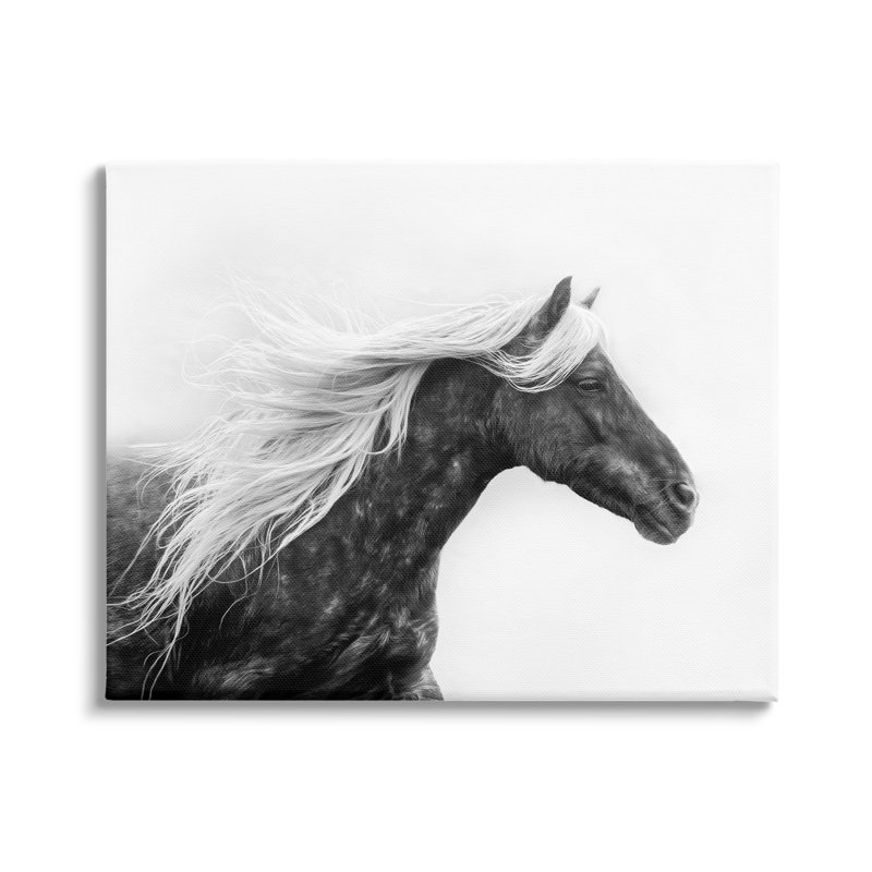 Cheval avec crinière blanche sur toile par PHBurchett, H 30 po x l 40 po x P 1,5 po