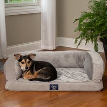 Dog Beds Sale You'll Love in 2024