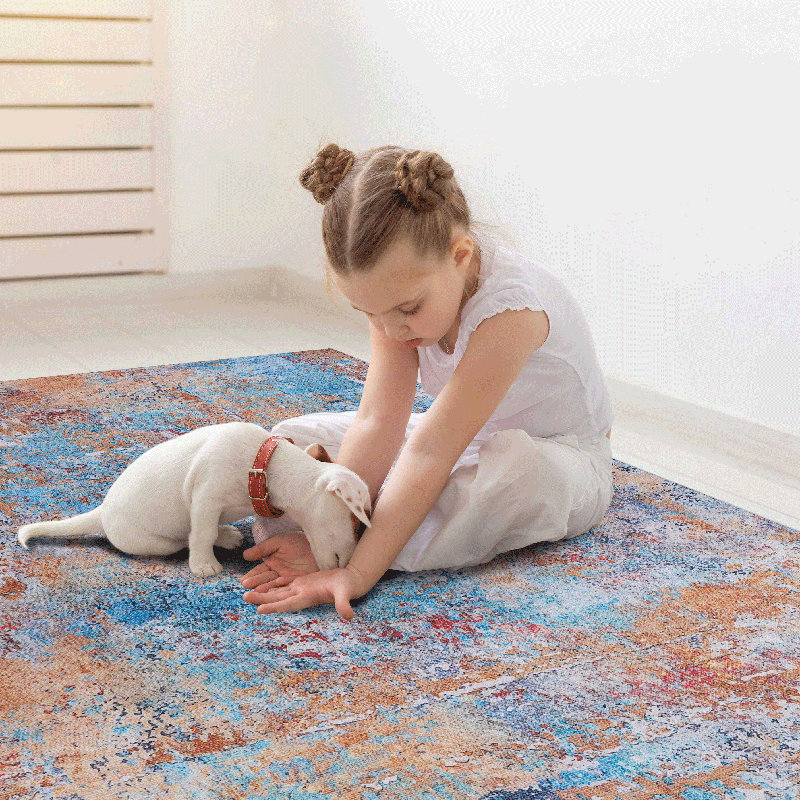 Machine Washable Multi Rug, Abstract Area Rug For Living Room, Rectangle 2' x 3'
