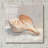 "Impressionist Shell Study III" by Ethan Harper, Acrylic Glass Wall Art-1762061624