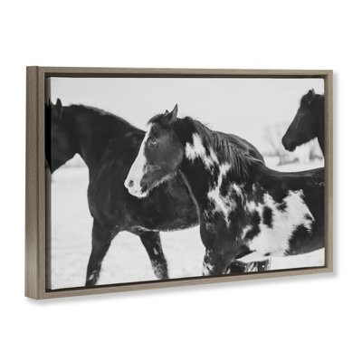 Cadre flottant noir Winter Horses, design par Amy Carroll