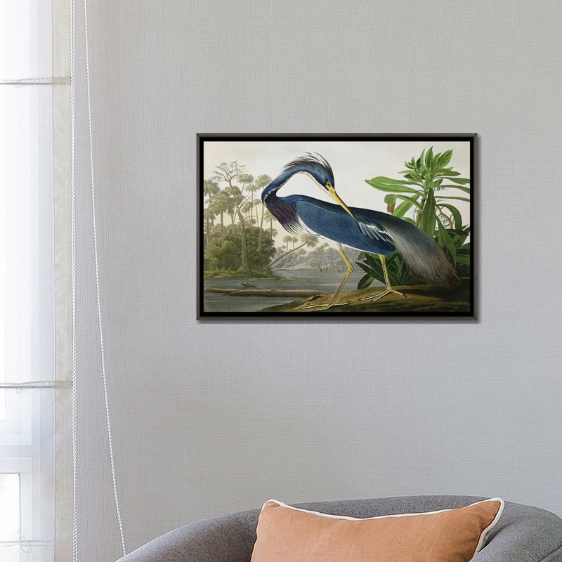 «Wick Louisiana Heron» par John James Audubon, reproduction sur toile, H 26 po x l 40 po, Impression encadrée, Noir