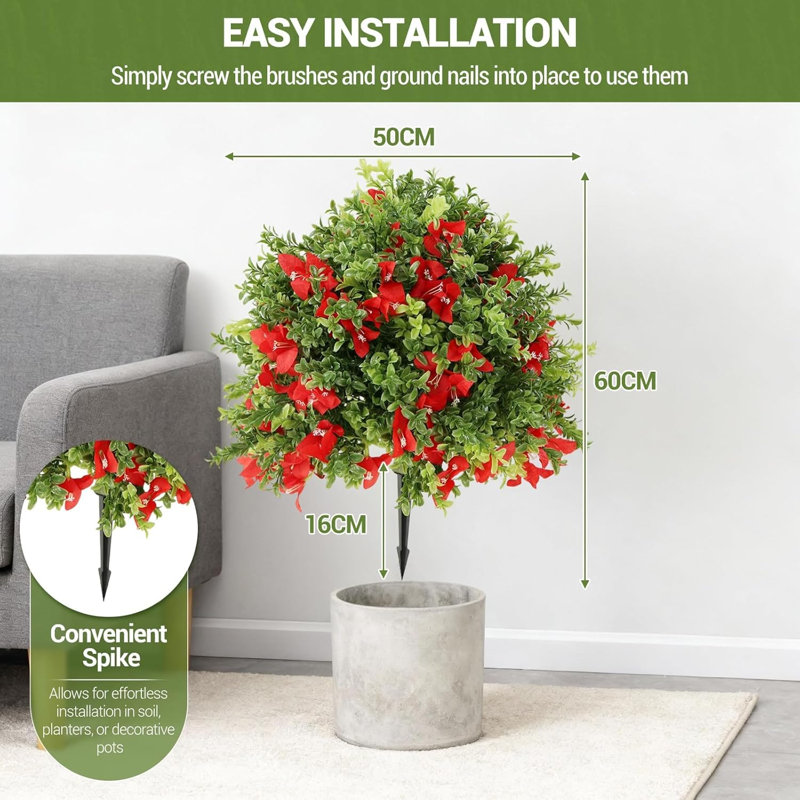 60cm Plant
