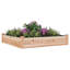 Asela Wood Raised Garden Bed-1064785581