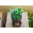 9 " H Faux Succulent Plant in Porcelain and Ceramic Planter