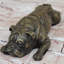 Sculpture de petit bouledogue Strozier