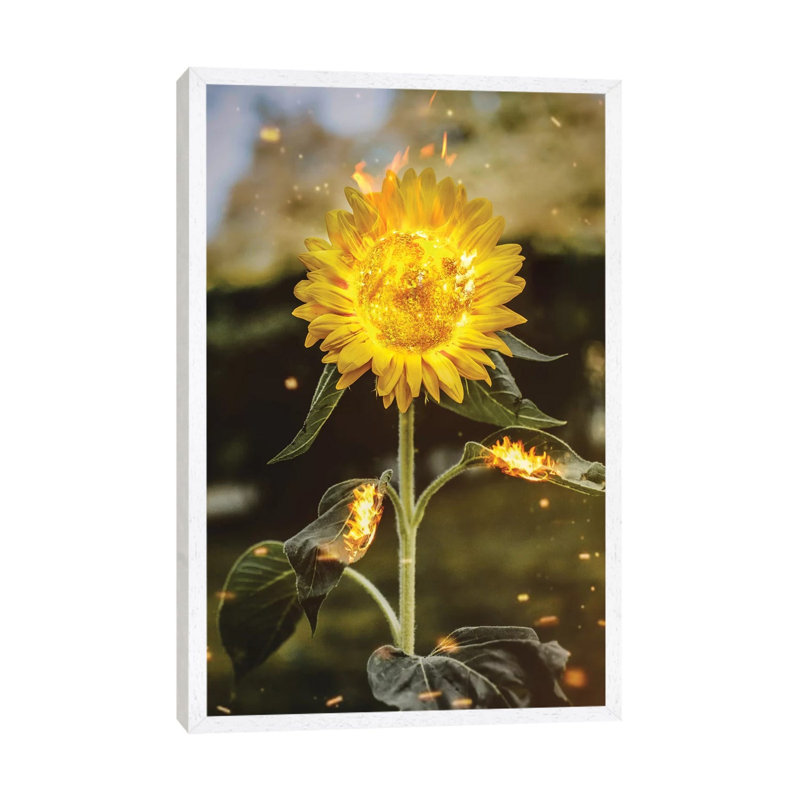 Real Sunflower by Shaun Ryken - Print on Canvas, 66.04cm H x 45.72cm W x 3.81cm D, White Floater Framed