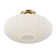 1-Light Ceiling Light