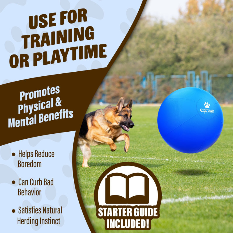 Balle de bout pour chien GoSports