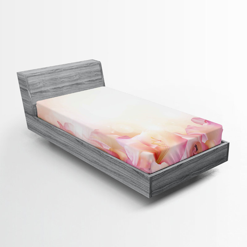 Ensemble de 2 draps-housses Ambesonne, Drap-housse simple TG