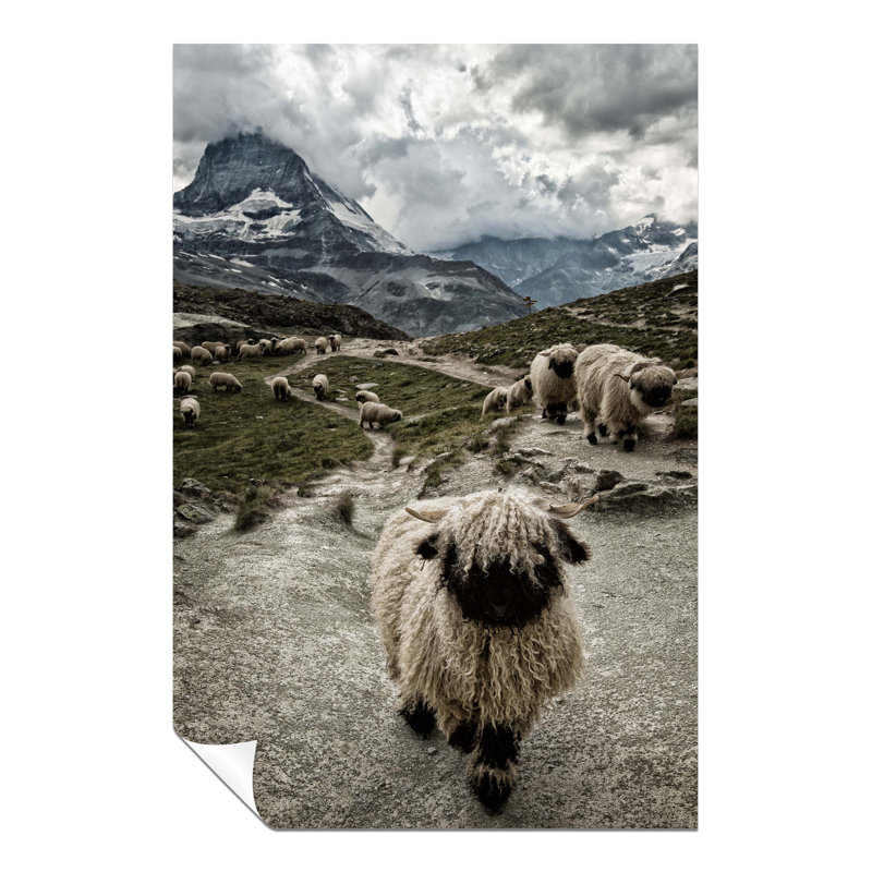 Panther Print Fine Art Prints Valais Blacknose Sheep Herd Nature Artistic Unframed Poster, Pictures For Home Walls, Bedroom, Living Room & Bathroom Decor - No Frame Print