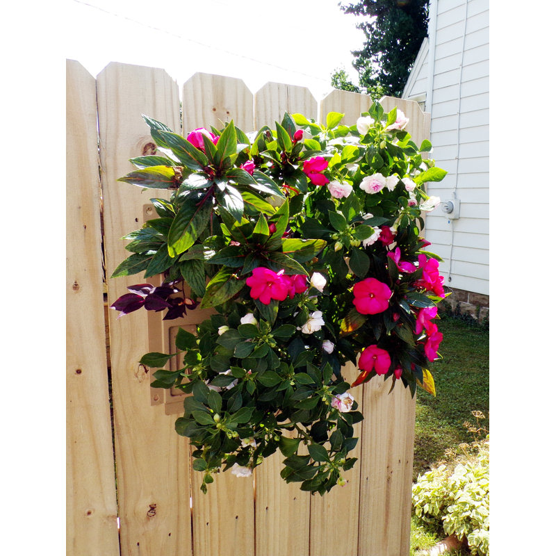 Pot de fleurs mural en plastique Manac, vert