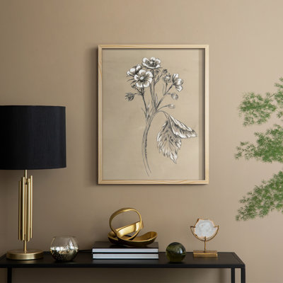 Reproduction encadrée rétro en botanique II