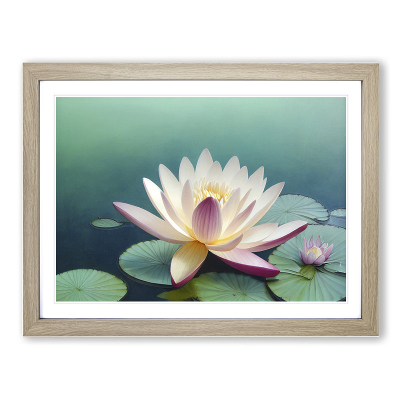 Classic Water Lily Flower - Framed Print, 46cm H x 64cm W x 2cm D, Oak