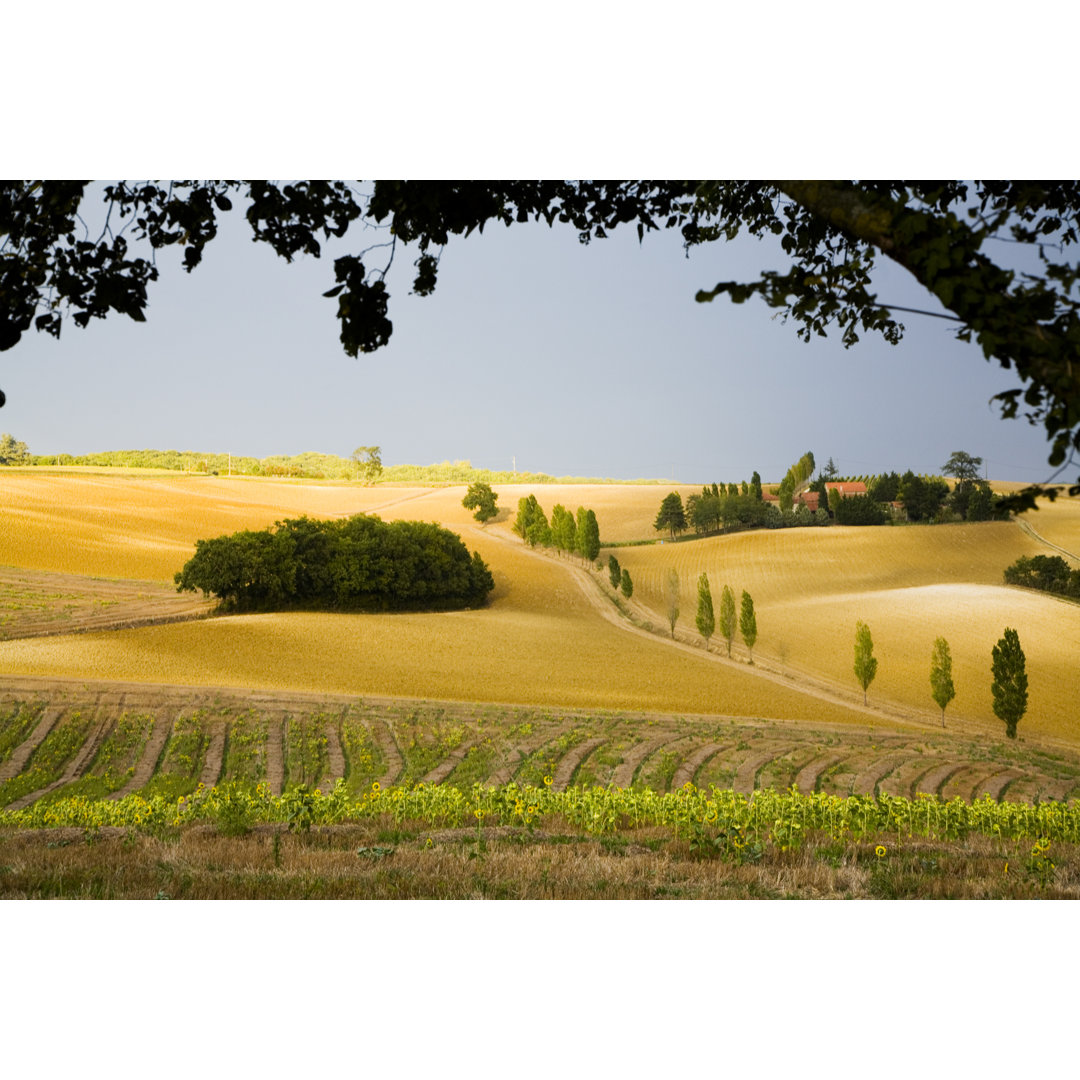 Herbst in der Landschaft von Gascogny - Kunstdrucke auf Leinwand