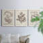 Midnight Tulip III - Ensemble de 3 cadres photo sur toile-856270420-856270423