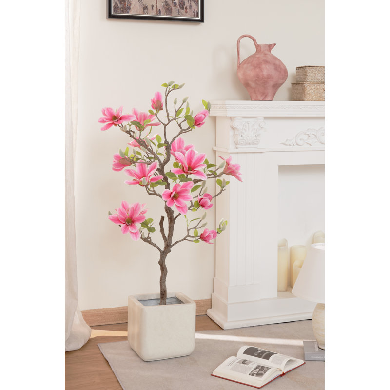 40" Pink Magnolia Flowering Tree in Pot