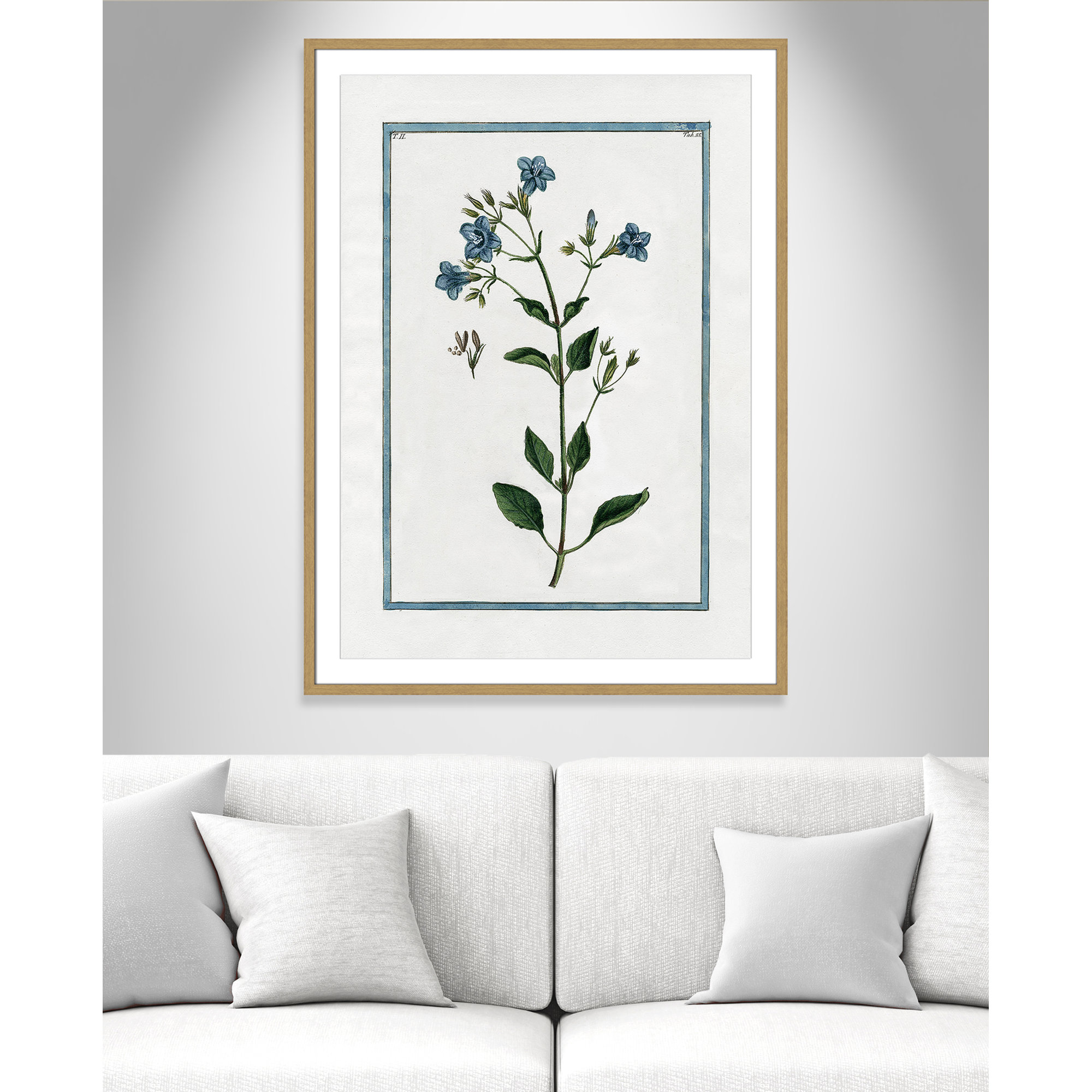 Shabby Elegance Botanical II - Framed Art, 29.5" W x 41.5" H, Natural Framed